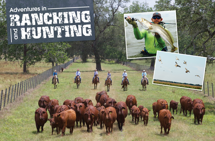 AdventuresInRanching
