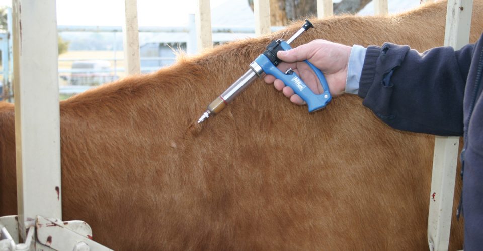 The Right Way | The Value of Proper Injection Sites