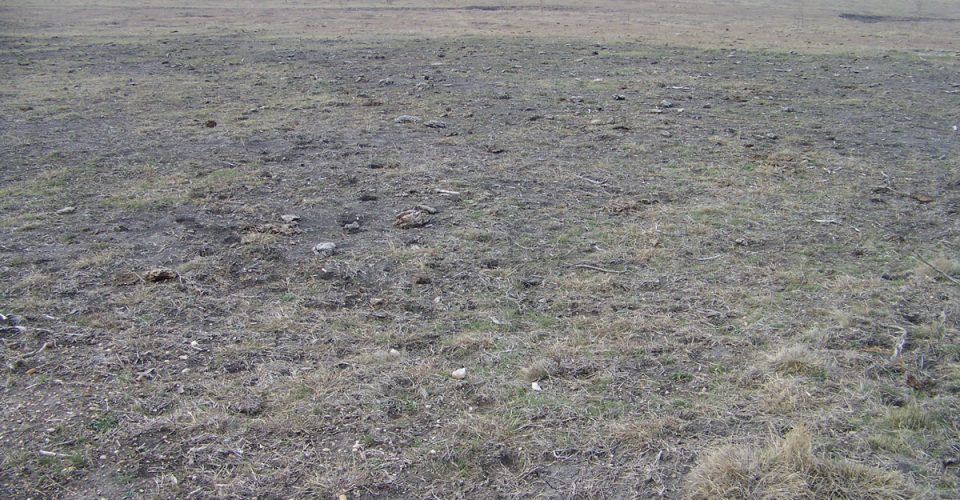 What Kind of Water Bucket Is Your Land?