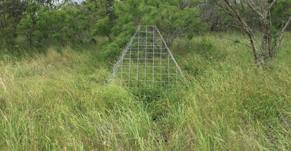 How Much Rain Have You Had? | Texas Range Report