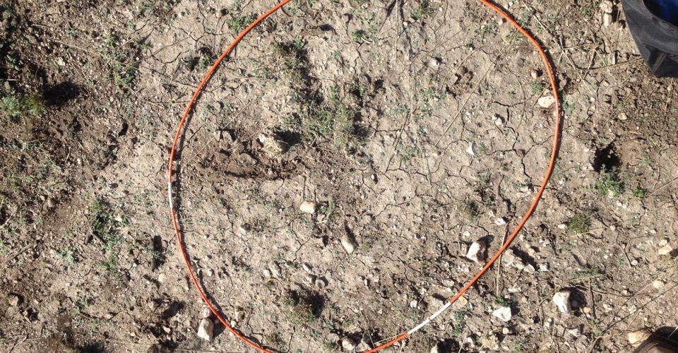 How Much Rain Have You Had? | Texas Range Report