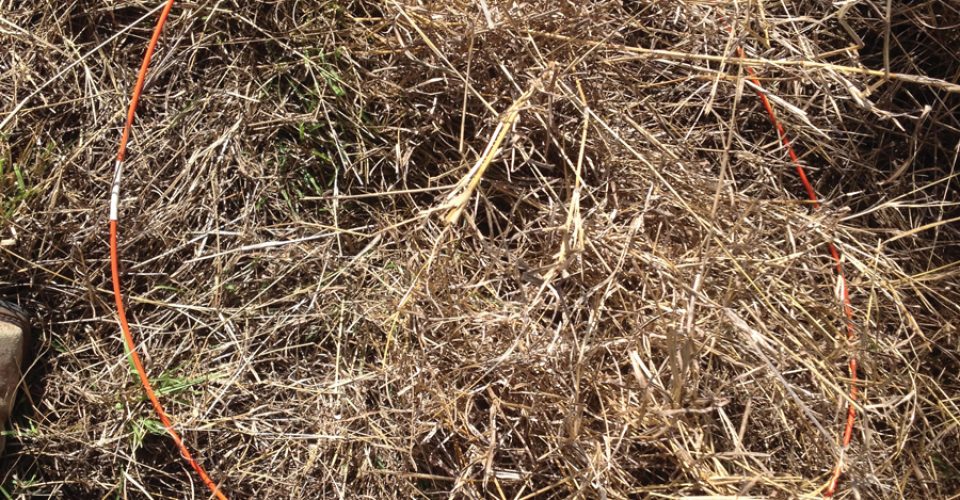 How Much Rain Have You Had? | Texas Range Report