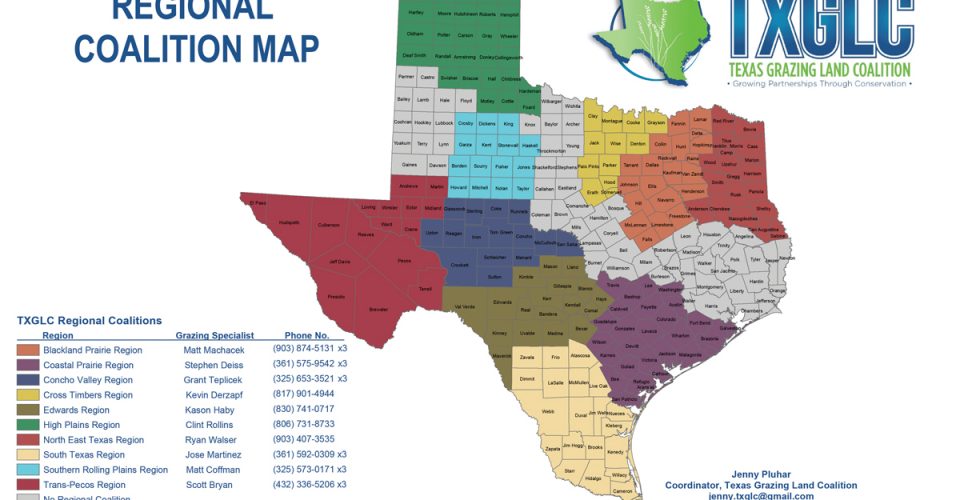 How Much Rain Have You Had? | Texas Range Report