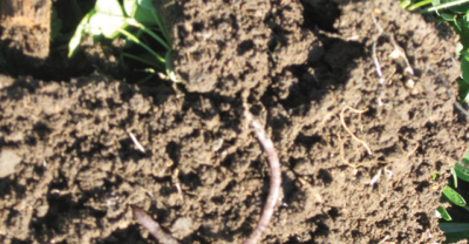 What Kind of Water Bucket Is Your Land?