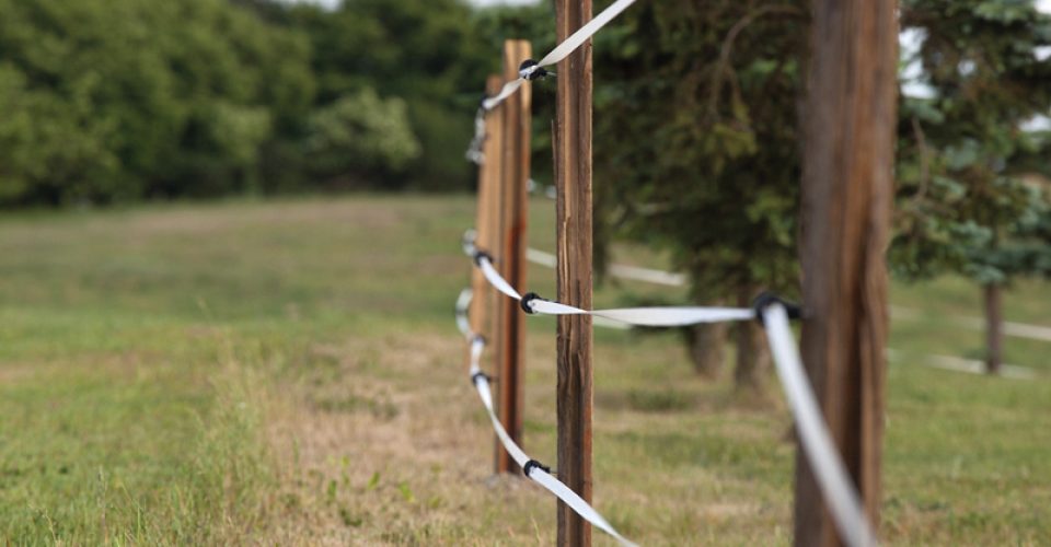 Ranch DIY | Electric Fence Maintenance