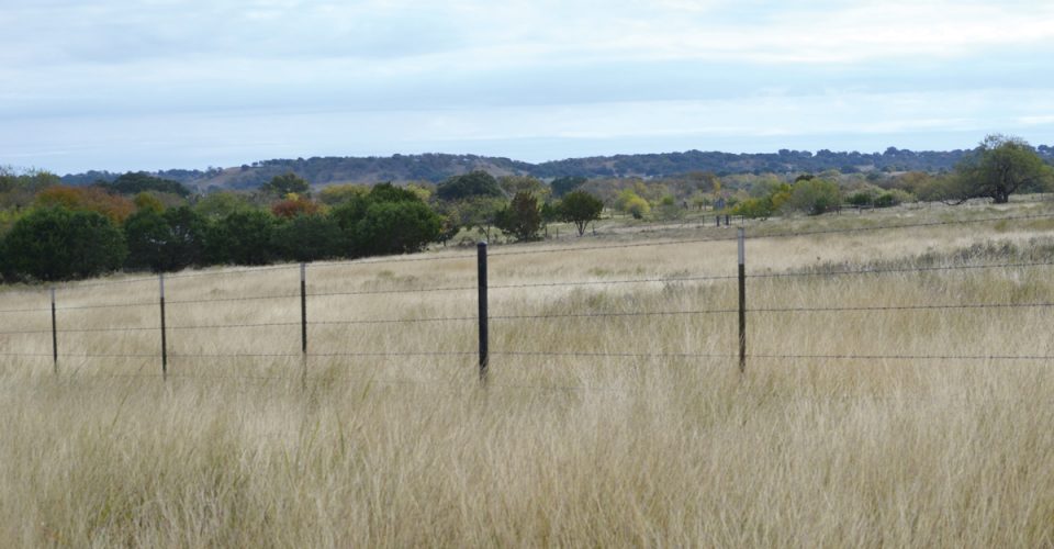 It’s Time to Measure the Forage You Have | Texas Range Report